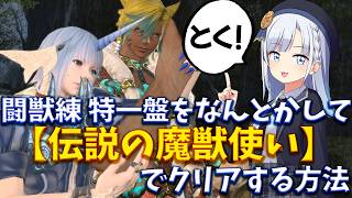 【FF14】闘獣練の特一盤をなんとかして「伝説の魔獣使い」でクリアするやり方