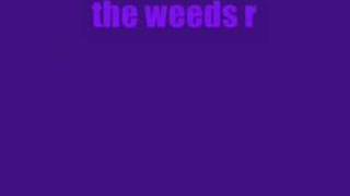 Milla Rocket Collecting