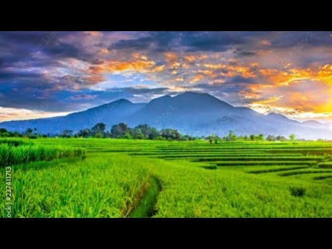 Beautiful Ayat ul Kursi Recitation |  Maqam Ajam and Maqam Jiharkah