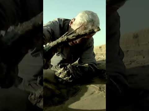 On the Paraná River, #JeremyWade comes face to face with a 250-pound Short-Tailed River Stingray, o