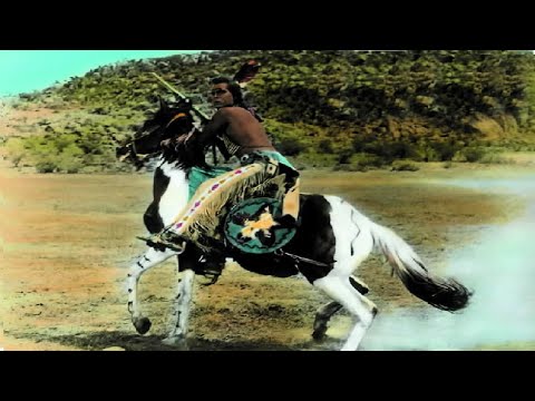 DIE WEISSE FEDER JAHR 1955 DEUTSCH