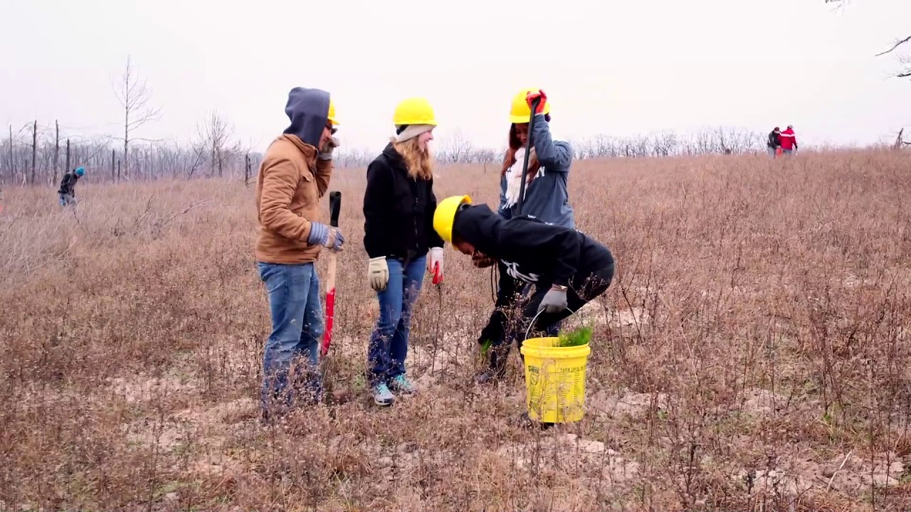 Restoring Native Forests