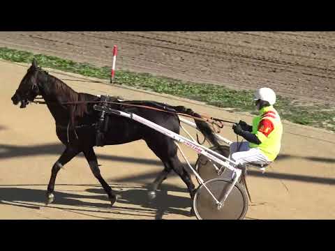 Kasačke trke 6.dan - 19.10.2025 Hipodrom: KK "Vojvođanin", Sombor