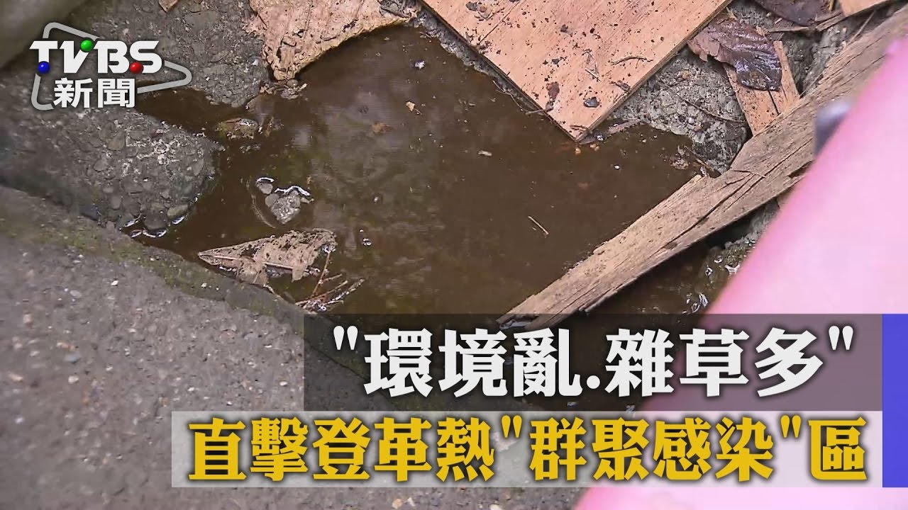環境亂、雜草多 直擊登革熱群聚感染區