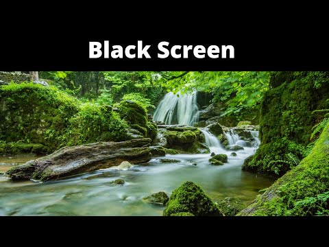 Deep Rest Guided Meditation and Sleep - Female Voice Nature Sounds - 1 Hour