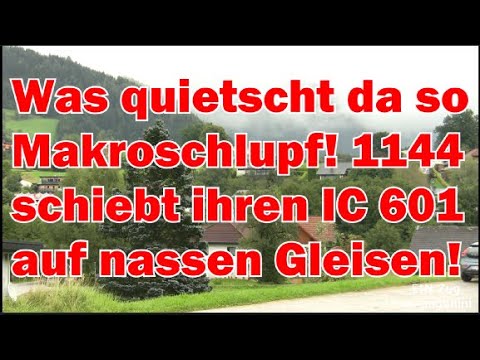 Was quietscht denn da so? Makroschlupf! 1144 schiebt ihren IC 601 auf nassen Gleisen bergwärts