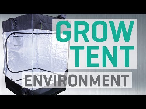 5 Grow Tent Environment Problems Video