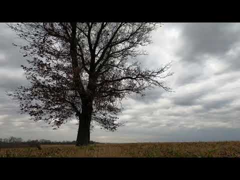 Time lapse rain clouds