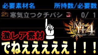 寒気立つクチバシが出なさすぎて狂った【(モンハン4)MH4】