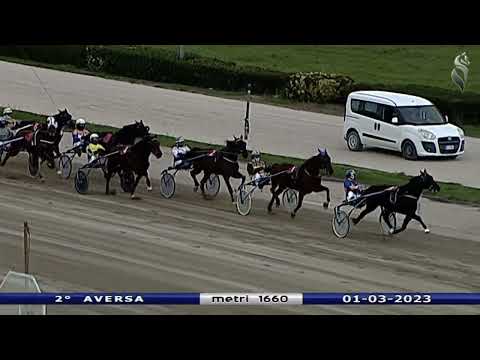 Aversa trotto 1 Marzo 2023 - 2° Corsa