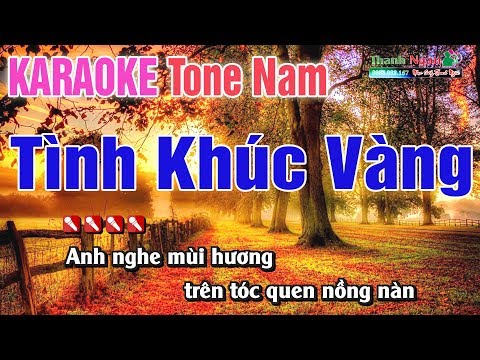 Tình Khúc Vàng Karaoke Tone Nam 8795  -  Nhạc Sống Thanh Ngân