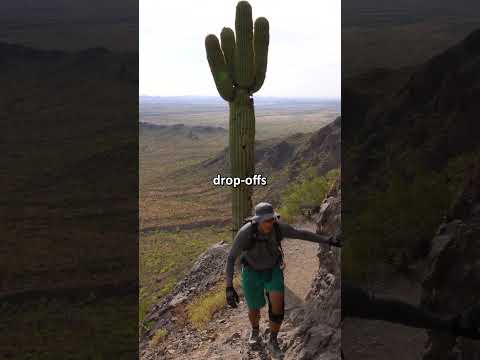 The TERRIFYING hike to Picacho Peak!