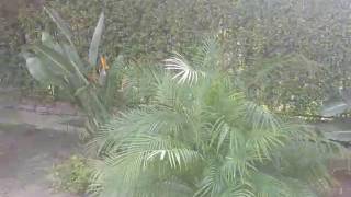 Before You Plant - What You Should Know