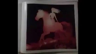 Javier Bergia - La Alegria Del Coyote