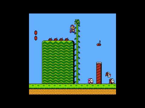 Super Mario Bros. 2 Game Genie Code: TEEPAT - Different sized platforms and scattered objects