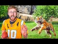 Extreme Kill The Man With The Football At Zoo