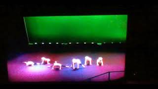 It's not me it's you (Prozzak)