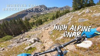 High Alpine Gnar