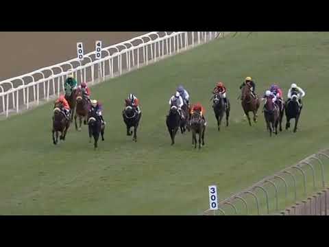 ERIK THE RED - EPOL UMKHOMAZI STAKES (Grade 2)