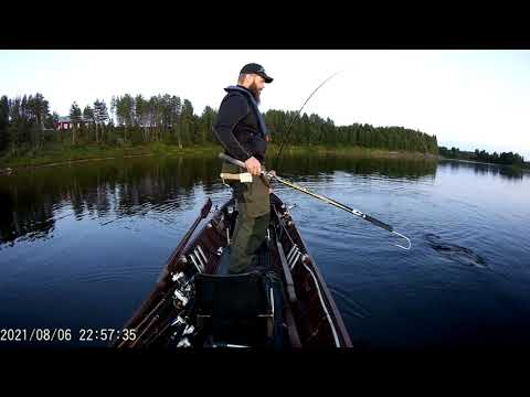 Tornionjoki kaartinen Lohi 6 8 2021