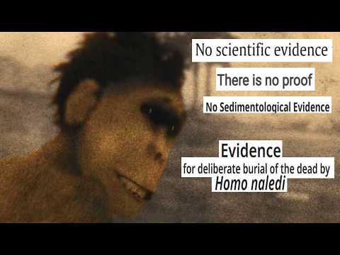 Did Homo Naledi Bury Its Dead or Not? Where Do We Stand?