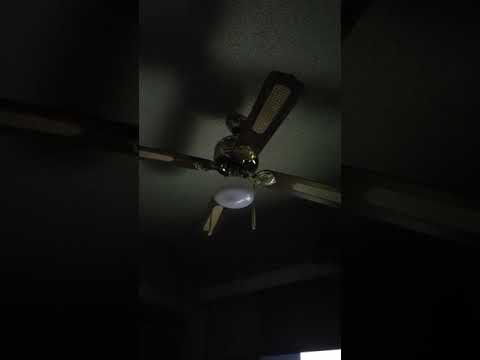 Witness21  2020 01 08