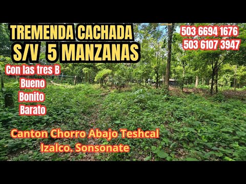 S/V  5  MANZANAS EN IZALCO SONSONATE