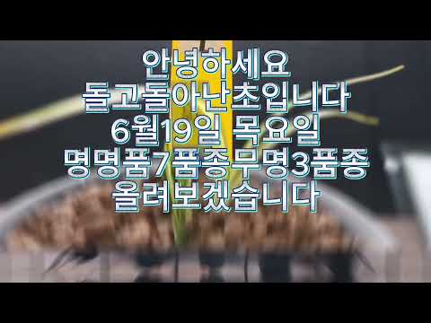 유튜브 썸네일