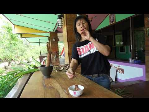 ค้นหาสาเหตุของโรคผิวหนังภูมิแพ้ ชะเอมมีแผลเปื่อย