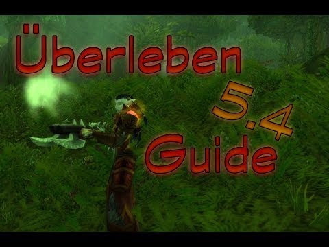5.4 Überleben - So wird auch dein Jäger zum DPS Tier !