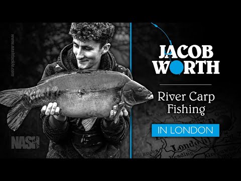 Jacob Worth - River Carp Fishing in London