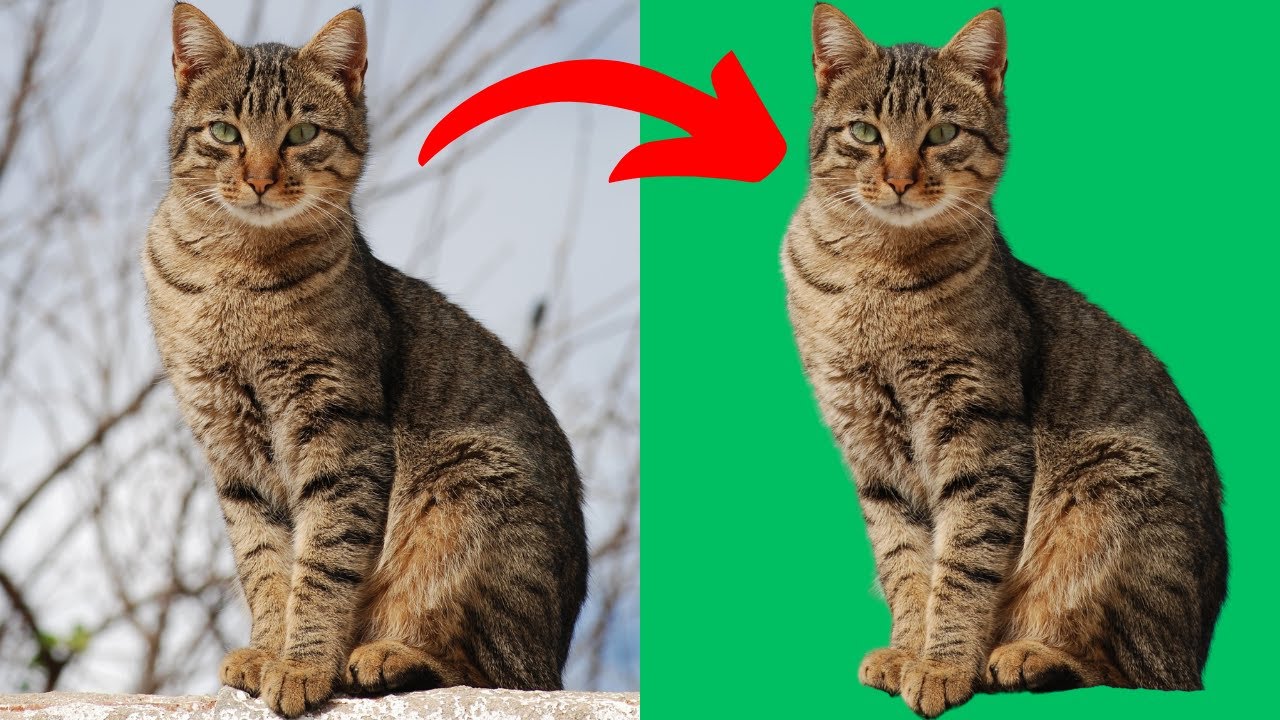 Remove background from images for FREE without losing quality (Craiyon AI Tutorial)