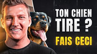 TUTO LA MARCHE AU PIED [DRESSAGE CHIEN] - Votre Chien Tire En Laisse 