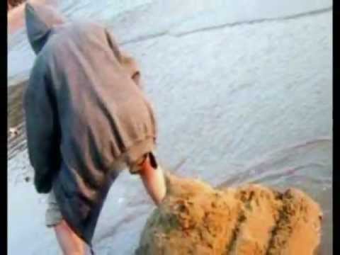 perdere il must go.wmv