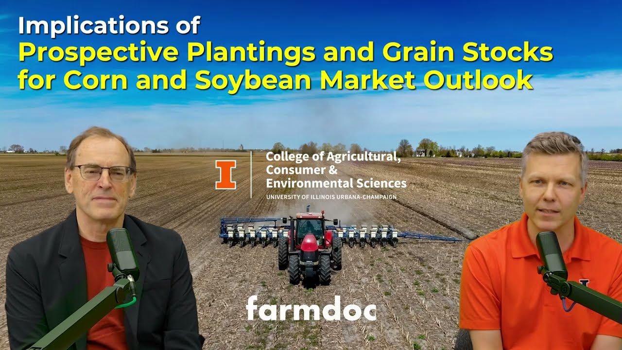 Implications of Prospective Plantings and Grain Stocks for Corn and Soybean Market Outlook