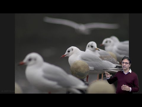 Overview | Depth from Defocus