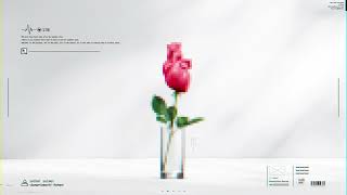 栽培生命 - 隣町本舗 (Lyric Video)