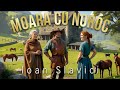 Moara Cu Noroc De Ioan Slavici Nuvela Întreaga Audiobook 4 Ore 2024
