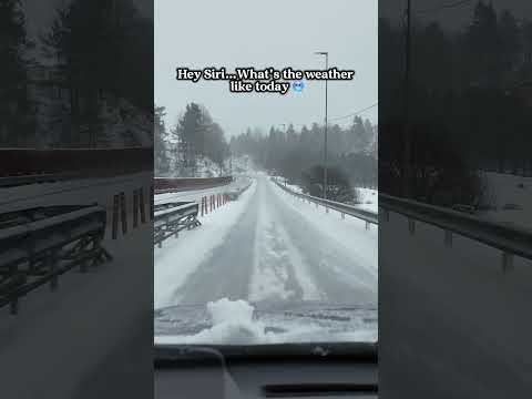 Hi everyone 😄🥶🇳🇴 #snow #norge #norway #winter #funny #travel #ytshorts #memes #zia #snowstorm