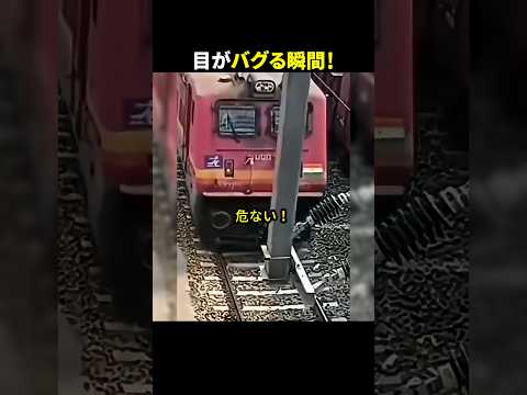 目がバグる瞬間！ #ほっこりショート