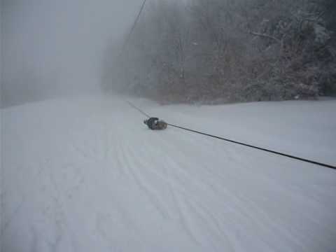 Vlekar - Teslaci (Kysuce, Velka Raca)