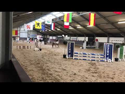 Mijn eerste X-mos jumping 80 cm in Bilzen