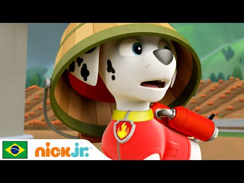 Capa de Patrulha Canina | Resgates terrestres - parte 1 | Nick Jr. em Português
