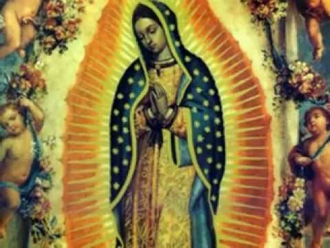 Click to Watch the Our Lady of Guadalupe - She Who Crushes the Head of the Serpent video Click to Watch the Our Lady of Guadalupe - She Who Crushes the Head of the Serpent video
