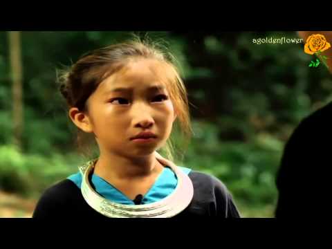 Hmoob Yuavtsum Hlub Hmoob