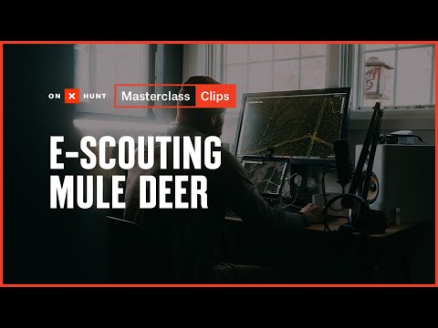 3 Mule Deer Habitat Features To Look For