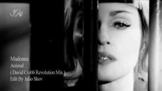 Madonna - Animal (David Crabb Revolution Mix ) Edit By Julio Skov