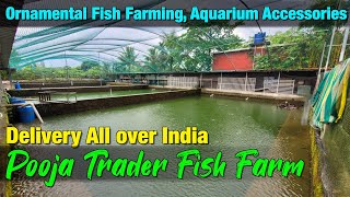 Secrets of Pooja Trader Fish Farm Revealed I Ornamental Fish Farming