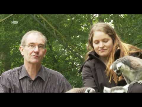 Microcebus Ganzhorni - Die Mausmakis und der Professor