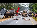 85 Most BRUTAL ANIMAL ATTACKS Caught On Camera
